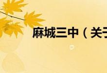 麻城三中（關(guān)于麻城三中的介紹）