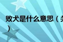 敗犬是什么意思（關(guān)于敗犬是什么意思的介紹）