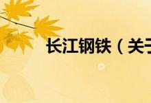 長(zhǎng)江鋼鐵（關(guān)于長(zhǎng)江鋼鐵的介紹）