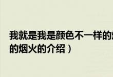 我就是我是顏色不一樣的煙火（關(guān)于我就是我是顏色不一樣的煙火的介紹）