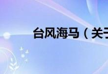 臺風(fēng)海馬（關(guān)于臺風(fēng)海馬的介紹）