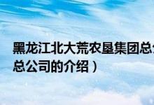 黑龍江北大荒農(nóng)墾集團(tuán)總公司（關(guān)于黑龍江北大荒農(nóng)墾集團(tuán)總公司的介紹）