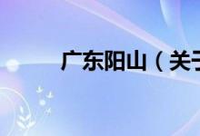 廣東陽(yáng)山（關(guān)于廣東陽(yáng)山的介紹）