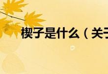 楔子是什么（關(guān)于楔子是什么的介紹）