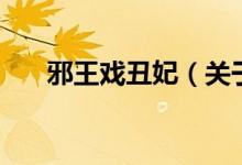 邪王戲丑妃（關于邪王戲丑妃的介紹）