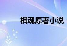 棋魂原著小說（棋魂電視劇簡介）