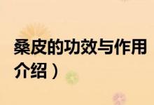 桑皮的功效與作用（關(guān)于桑皮的功效與作用的介紹）