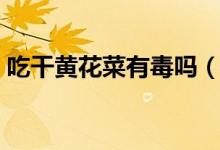 吃干黃花菜有毒嗎（吃干黃花菜中毒的癥狀）