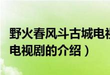 野火春風斗古城電視?。P(guān)于野火春風斗古城電視劇的介紹）
