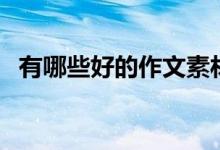有哪些好的作文素材（語文作文素材積累）