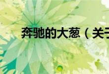 奔馳的大蔥（關(guān)于奔馳的大蔥的介紹）