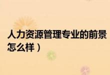 人力資源管理專業(yè)的前景（2022人力資源管理專業(yè)就業(yè)前景怎么樣）