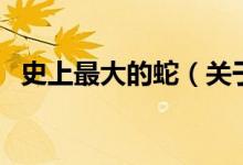 史上最大的蛇（關(guān)于史上最大的蛇的介紹）