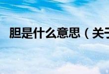 膽是什么意思（關(guān)于膽是什么意思的介紹）