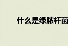 什么是綠膿桿菌（什么是綠膿桿菌）