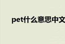 pet什么意思中文醫(yī)學(xué)（pet什么意思）