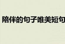 陪伴的句子唯美短句（陪你一起看細(xì)水長流）
