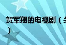 賀軍翔的電視?。P(guān)于賀軍翔的電視劇的介紹）