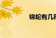 錦蛇有幾種（錦蛇多嗎）