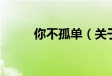 你不孤單（關(guān)于你不孤單的介紹）