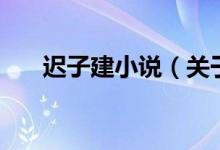 遲子建小說（關于遲子建小說的介紹）