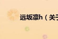遠(yuǎn)坂凜h（關(guān)于遠(yuǎn)坂凜h的介紹）