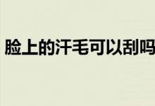 臉上的汗毛可以刮嗎（臉上的汗毛可以刮嗎）