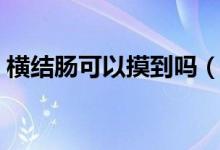 橫結(jié)腸可以摸到嗎（正常人能摸到橫結(jié)腸嗎）