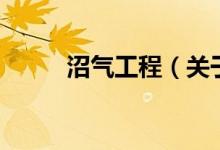 沼氣工程（關(guān)于沼氣工程的介紹）