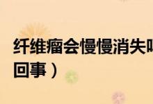 纖維瘤會慢慢消失嗎（纖維瘤自己消失是怎么回事）