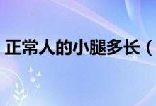 正常人的小腿多長(zhǎng)（正常人大腿小腿哪個(gè)長(zhǎng)）