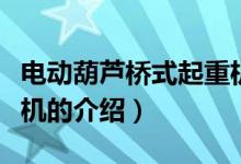 電動(dòng)葫蘆橋式起重機(jī)（關(guān)于電動(dòng)葫蘆橋式起重機(jī)的介紹）