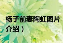 楊子前妻陶虹圖片（關(guān)于楊子前妻陶虹圖片的介紹）