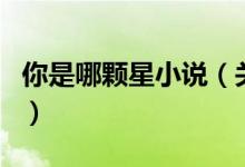 你是哪顆星小說(shuō)（關(guān)于你是哪顆星小說(shuō)的介紹）