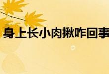 身上長(zhǎng)小肉揪咋回事（身上長(zhǎng)小肉揪怎么辦）