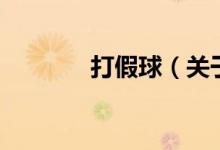 打假球（關(guān)于打假球的介紹）