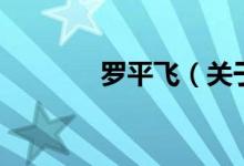 羅平飛（關(guān)于羅平飛的介紹）