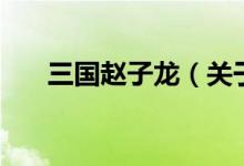 三國(guó)趙子龍（關(guān)于三國(guó)趙子龍的介紹）