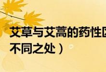 艾草與艾蒿的藥性區(qū)別有哪些（艾草與艾蒿的不同之處）