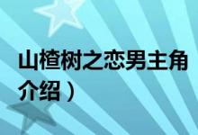 山楂樹(shù)之戀男主角（關(guān)于山楂樹(shù)之戀男主角的介紹）