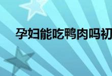 孕婦能吃鴨肉嗎初期（孕婦能吃鴨肉嗎）