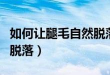 如何讓腿毛自然脫落不再長(zhǎng)（如何讓腿毛自動(dòng)脫落）
