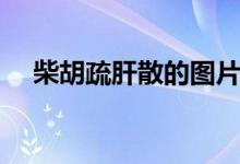 柴胡疏肝散的圖片（柴胡疏肝散的作用）