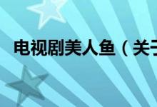 電視劇美人魚（關(guān)于電視劇美人魚的介紹）