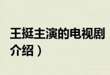 王挺主演的電視?。P(guān)于王挺主演的電視劇的介紹）