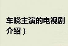 車曉主演的電視?。P(guān)于車曉主演的電視劇的介紹）