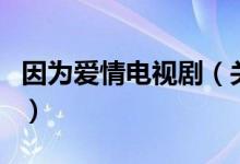 因?yàn)閻?ài)情電視?。P(guān)于因?yàn)閻?ài)情電視劇的介紹）