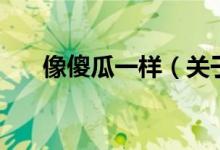 像傻瓜一樣（關(guān)于像傻瓜一樣的介紹）