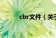 cbr文件（關(guān)于cbr文件的介紹）