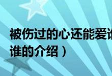 被傷過的心還能愛誰（關(guān)于被傷過的心還能愛誰的介紹）